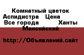 Комнатный цветок Аспидистра › Цена ­ 150 - Все города  »    . Ханты-Мансийский